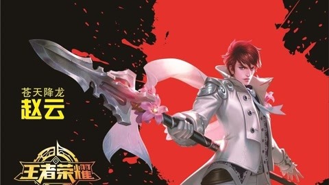 冒牌杀手 产品图片