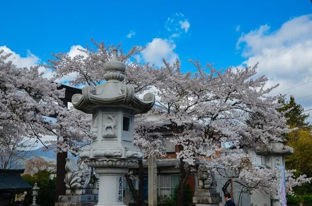 侠盗义贼 产品图片