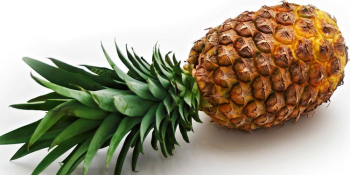 亚美利加纳 推荐视频