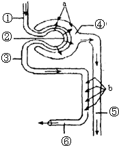 地狱村的春节 推荐视频