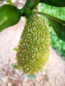 保持呼吸 视频主图