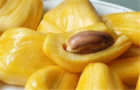 伊兹大闹洛杉矶 推荐视频