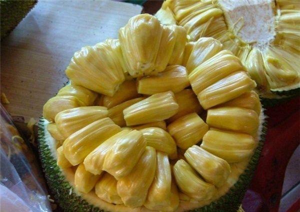 倚天屠龙记之九阳神功（粤语） 推荐视频