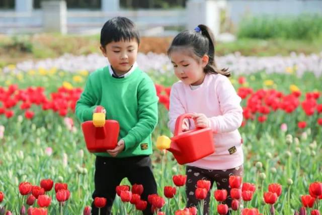 伪信者2 推荐视频