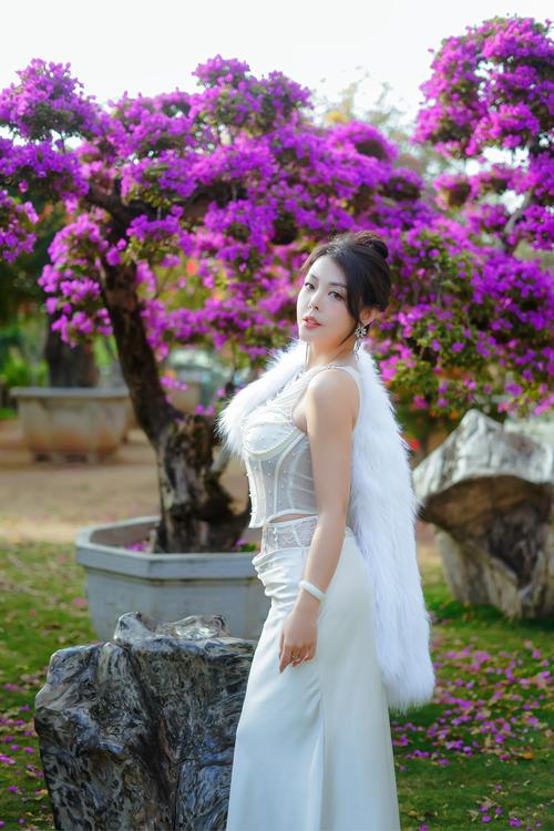 你好布拉德 推荐视频