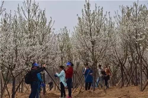 于她撑控 视频主图