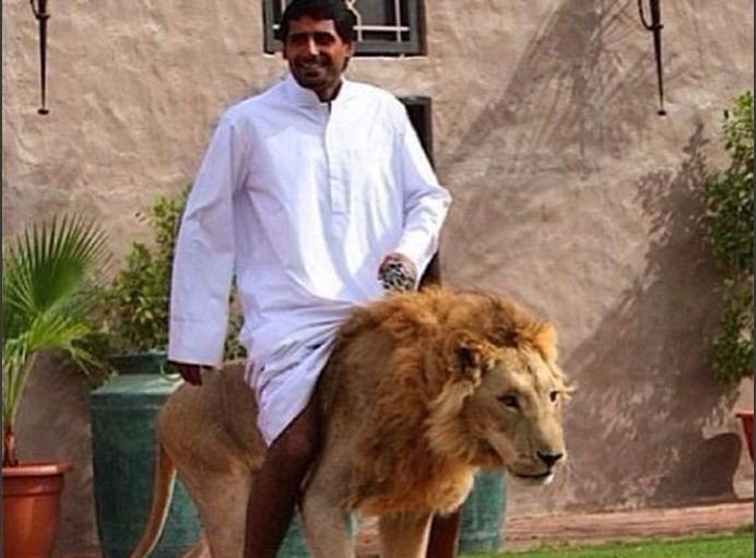 佐格与飞行医生