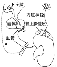 侠探杰克：永不回头（国语版） 推荐视频