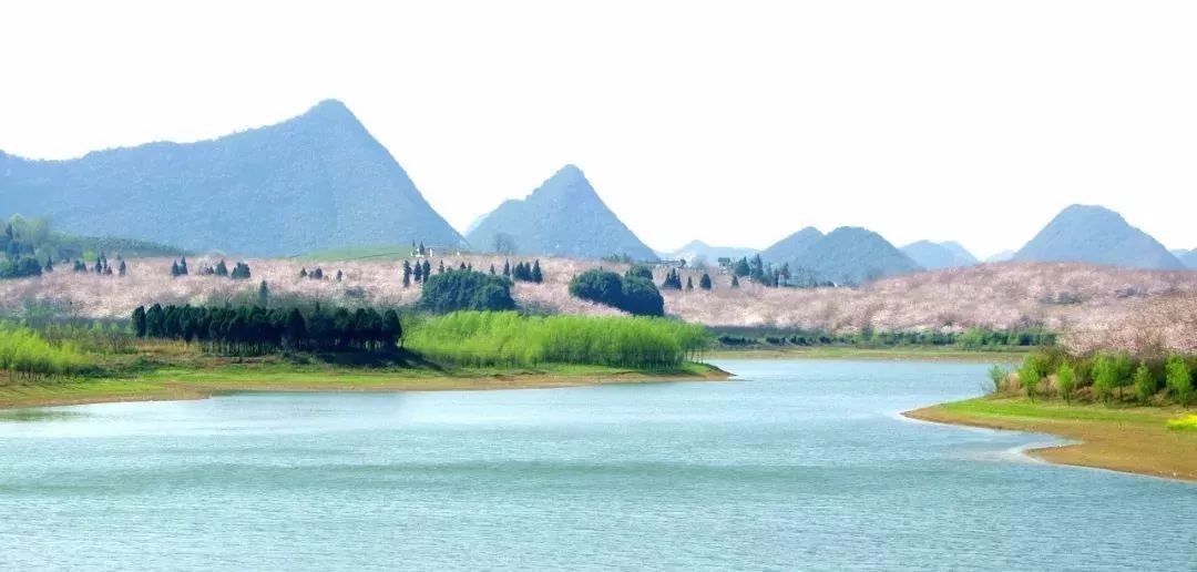 停战以后 推荐视频