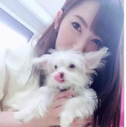 在阳光下腐烂 推荐视频