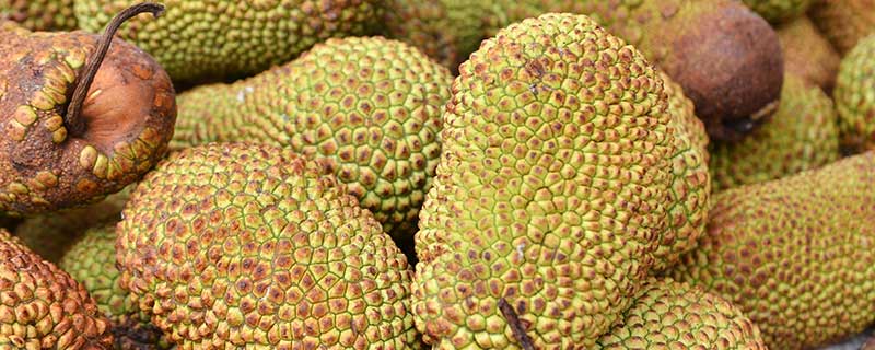 佩姬苏要出嫁 推荐视频