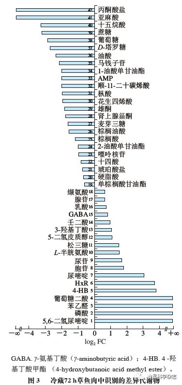 倒霉日 推荐视频