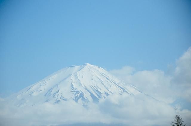厨神下凡 推荐视频
