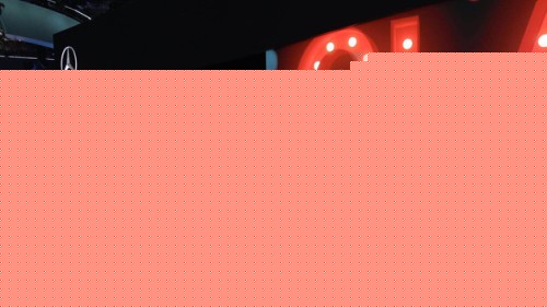 仿造者 产品图片