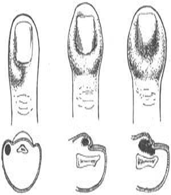 仲夏夜魔法 推荐视频