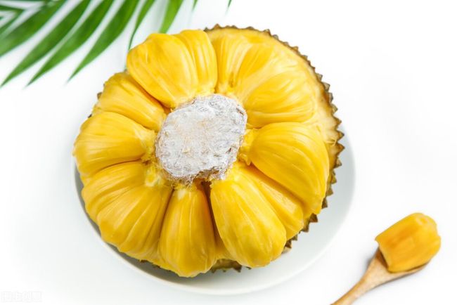 儿子、孙子和种子 推荐视频