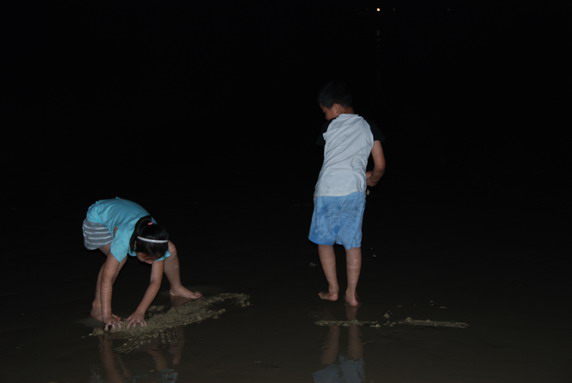 你看起来好像很好吃 视频主图