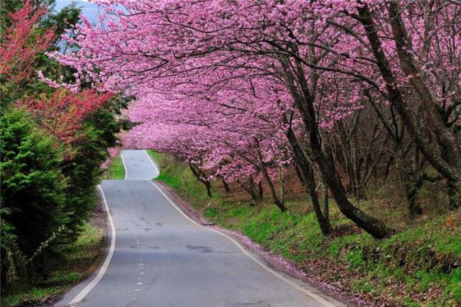 借口公司 推荐视频