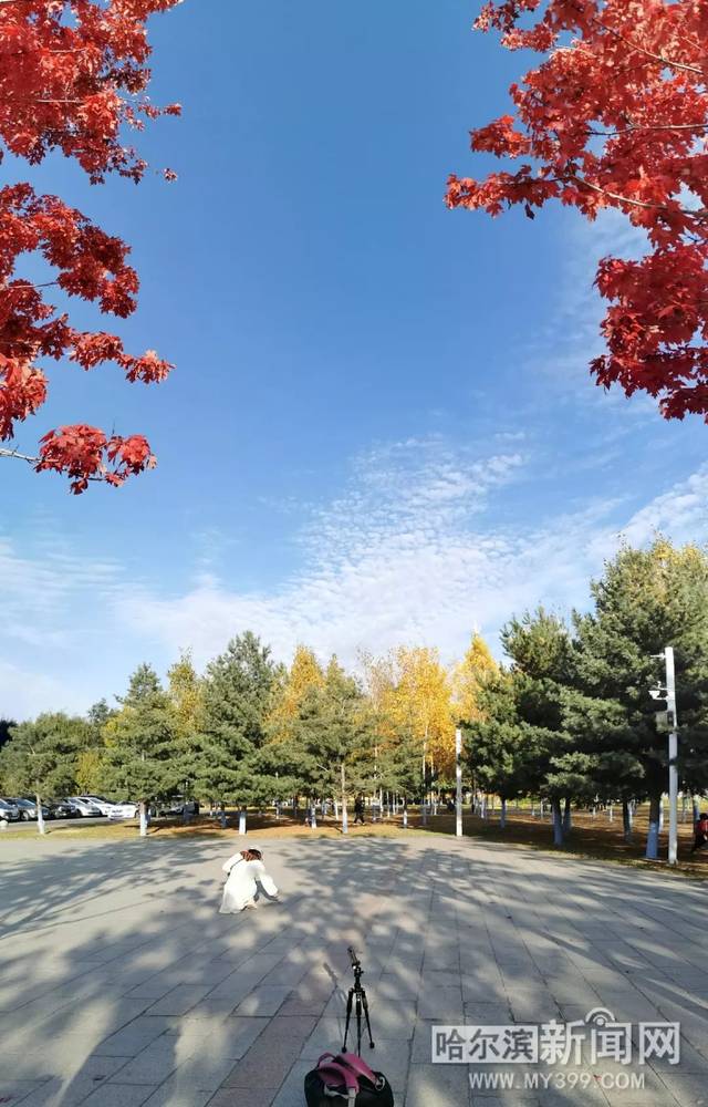 圣殿奇妙夜 推荐视频