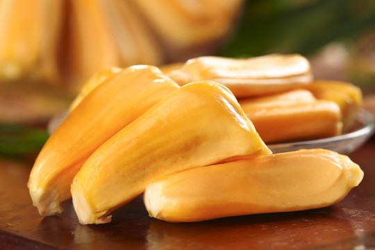 侏罗纪狩猎 产品图片