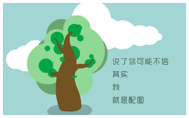 像男人一样思考 推荐视频