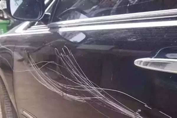 137号案件 视频主图