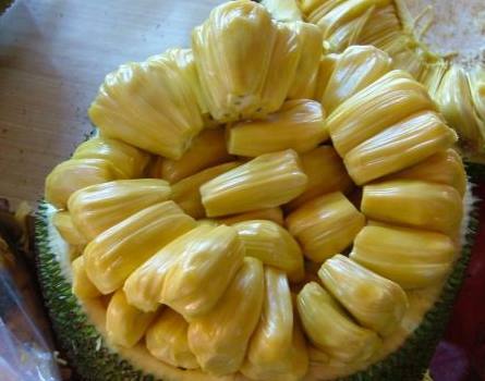 伏魔济公 产品图片