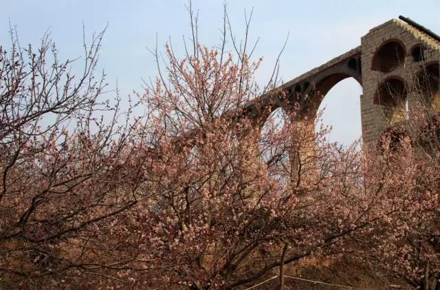 你是哪里人 产品图片