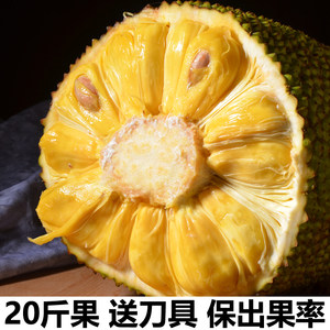 你好，我叫多蕾丝 推荐视频