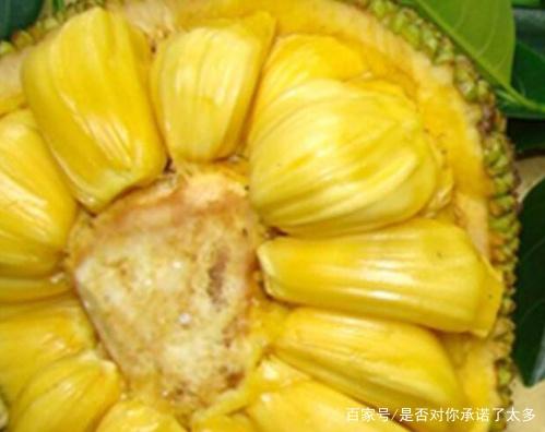 再见，残酷的世界 产品图片