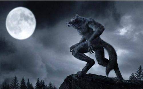 优步危机 推荐视频