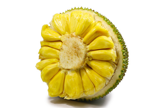 你会在那里吗？ 推荐视频