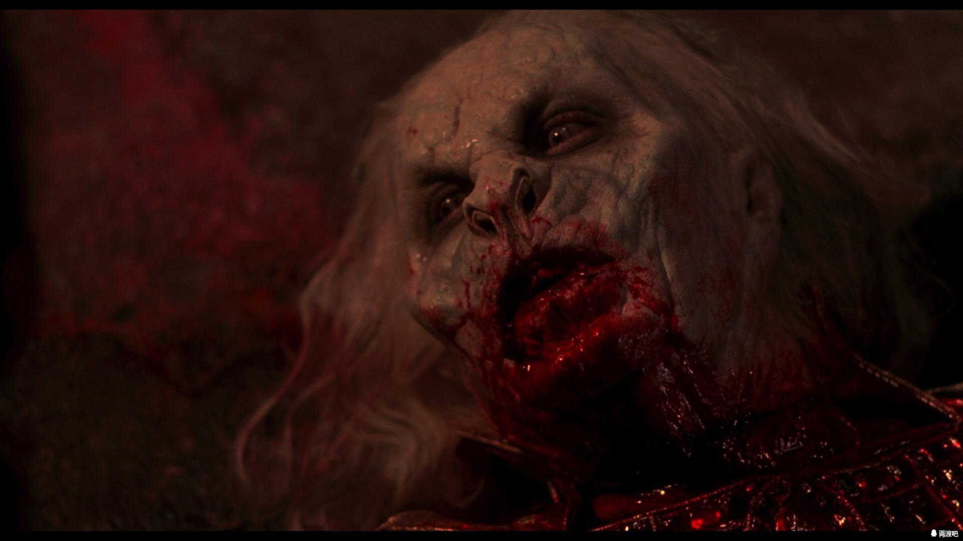 伴我纵横 伴我縱橫 产品图片