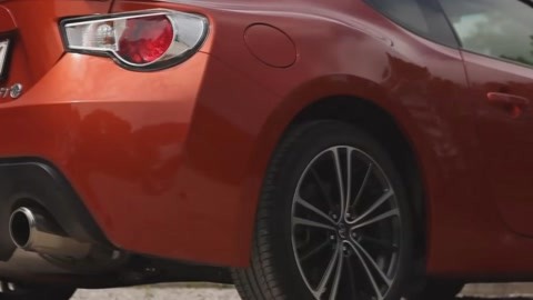 伊甸园之海 产品图片