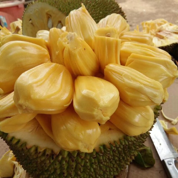 凯马克 产品图片