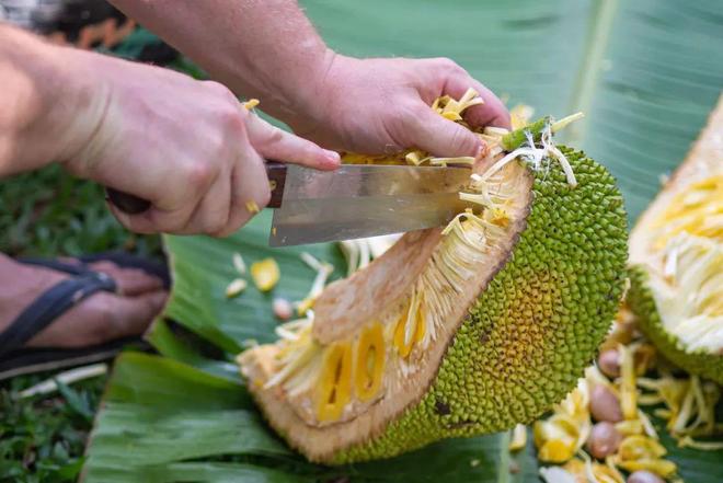 僵尸刑警 产品图片
