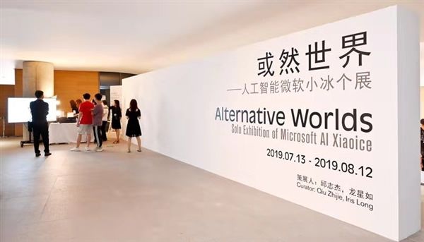 冒牌杀手 产品图片