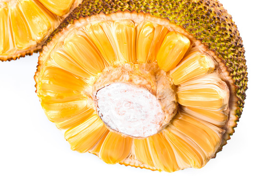 写在大地上的诗 推荐视频