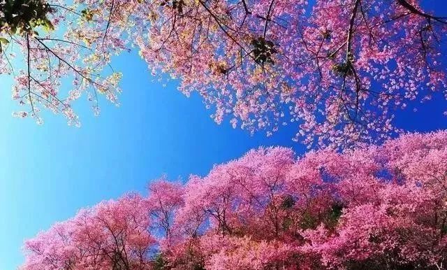 侠士行 推荐视频