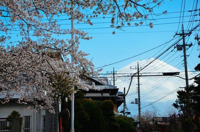 双面男模之桃花期 推荐视频