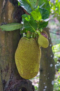 同名男子 推荐视频