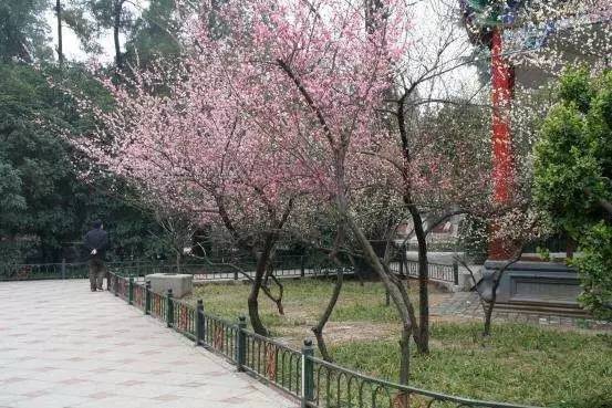 假日之旅 推荐视频