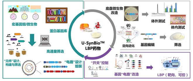 倒数说爱你 推荐视频
