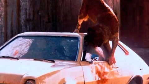 优雅之邦 推荐视频