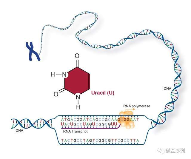 仲夏夜魔法 推荐视频