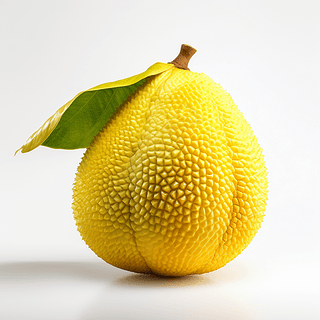 你是我的吸血鬼