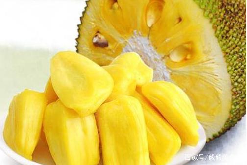 你是我的吸血鬼