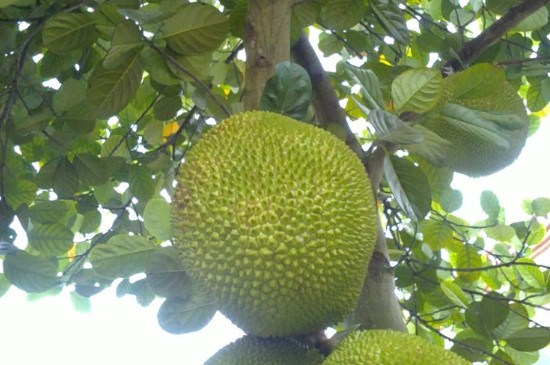 云端之上 英语版 推荐视频