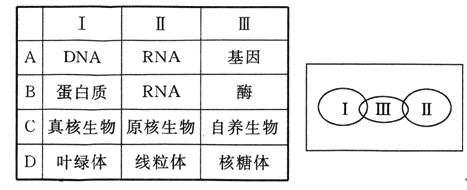 仲夏夜魔法 推荐视频