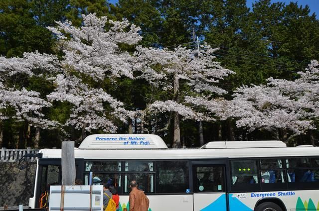 伏虎武松 推荐视频
